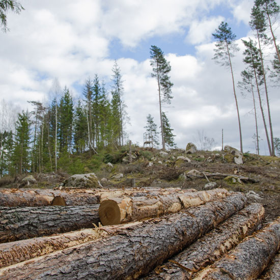 The unsustainability of modern agriculture stems from a poor understanding of cause and effect.